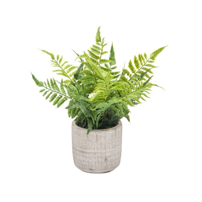 FP Collection Artificial Potted Autumn Fern  ] 184485 - Flower Power