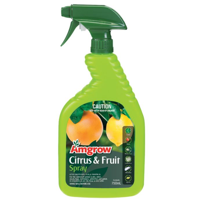 Amgrow Citrus & Fruit Spray Ready To Use  ] 9310943820957 - Flower Power