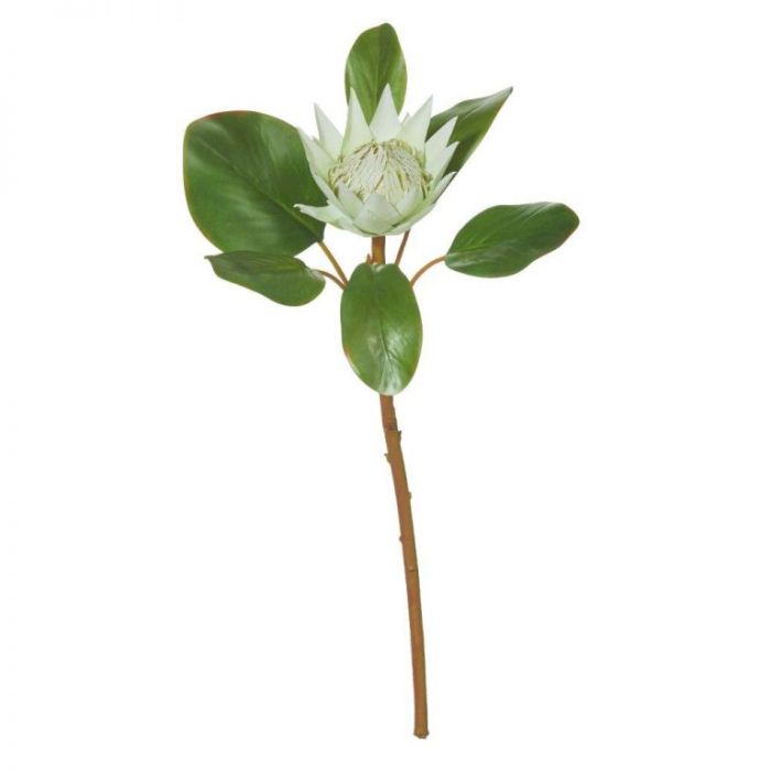 Artificial Mini King Protea Stem White  ] 9331460278397 - Flower Power