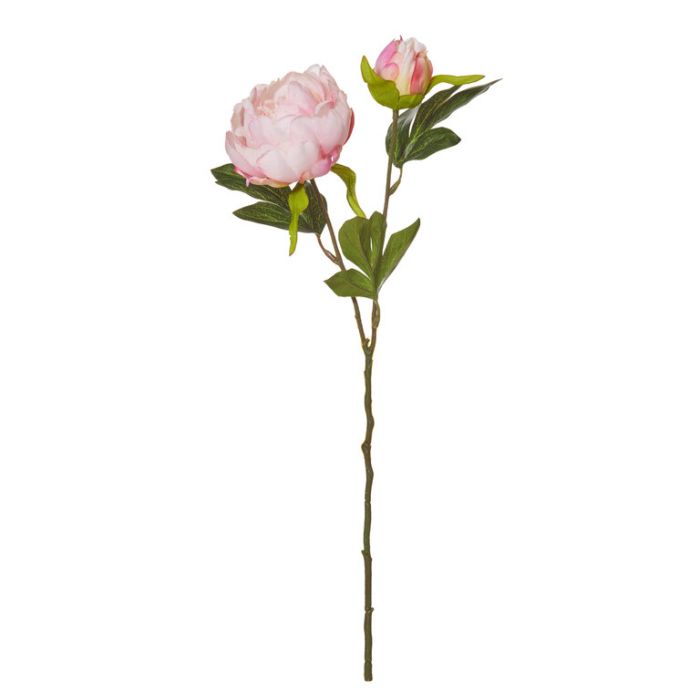Artificial Peony Pick Pink  ] 9331460296926 - Flower Power