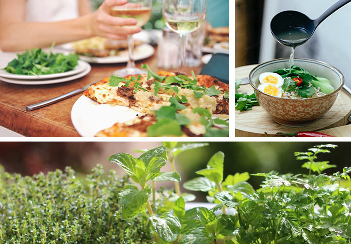 Collage image, clockwise from top left: people dining outside with pizza, a bowl of Asian noodle soup, a variety of herbs.